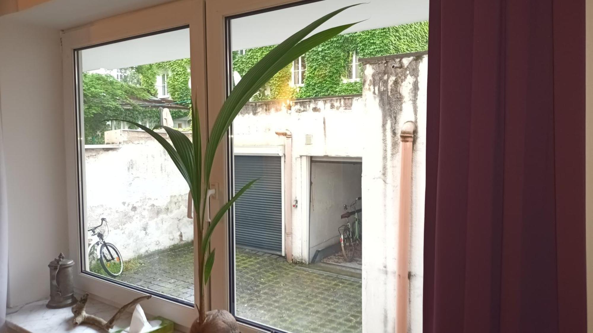 Stilvolles Appartement Im Zentralen Schwabing - Innenstadt München Kültér fotó